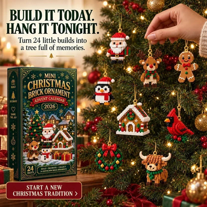 ⏳ Last day to save 49% – 🎄24-Piece Christmas Ornament Advent Calendar