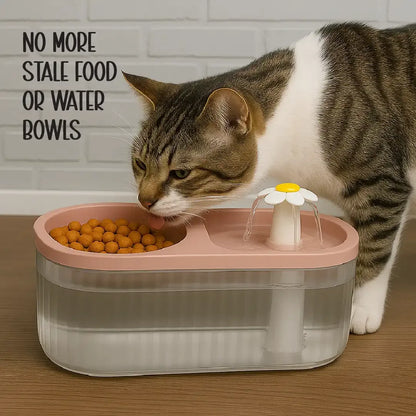 Feeder | 2-in-1 Water Fountain + Feeder
