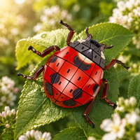 Ladybug