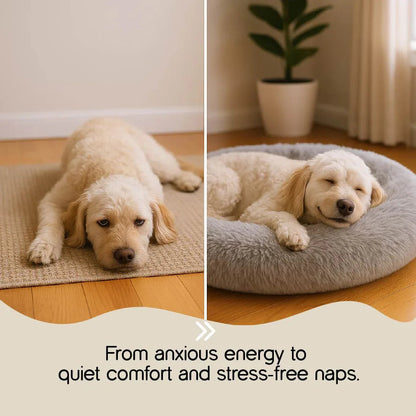 Donut Bed | Stress-Relief Pet Bed